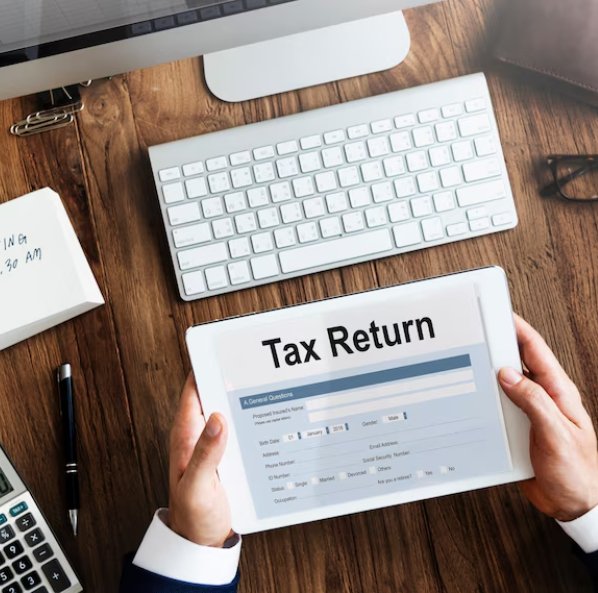 
                                    Professional Tax Return